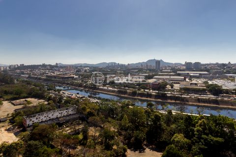 Image 11 - 924852