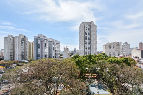 Image 11 - 924910
