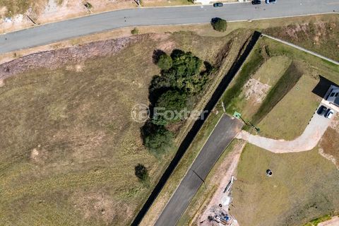 Image 9 - 924939