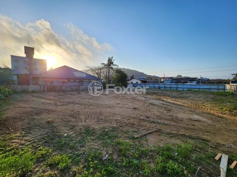 Image 7 - 925055