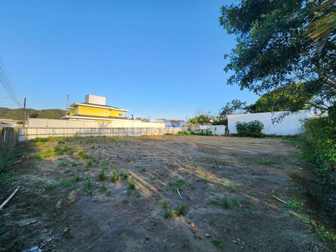Image 3 - 925055