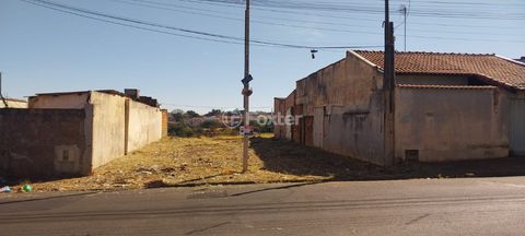 Image 17 - 925074