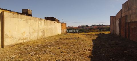 Image 3 - 925074