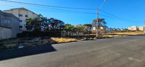 Image 5 - 925381