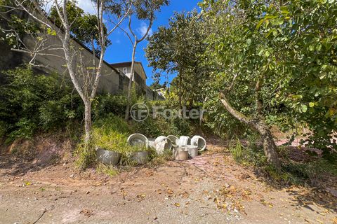 Image 4 - 925383