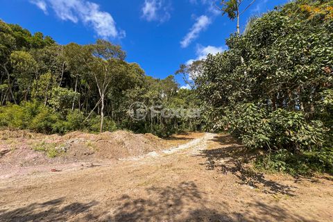 Image 7 - 925383