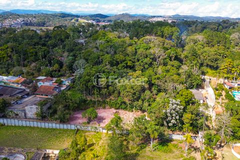 Image 10 - 925383