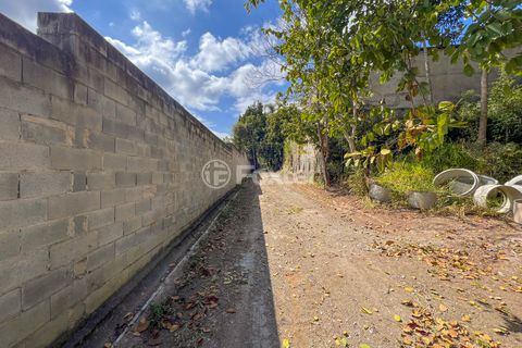 Image 3 - 925383
