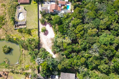 Image 15 - 925383
