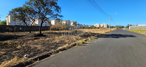 Image 15 - 925386