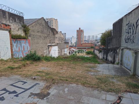 Image 7 - 925537