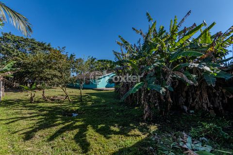 Image 8 - 925556