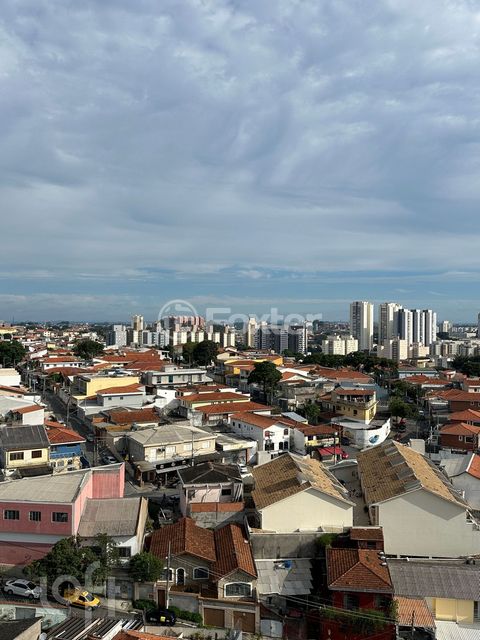 Image 11 - 925625