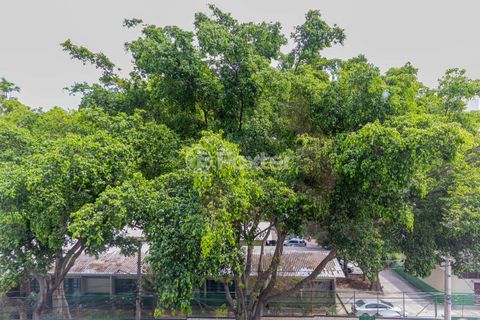 Image 4 - 925961