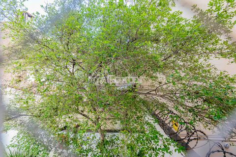 Image 10 - 926019