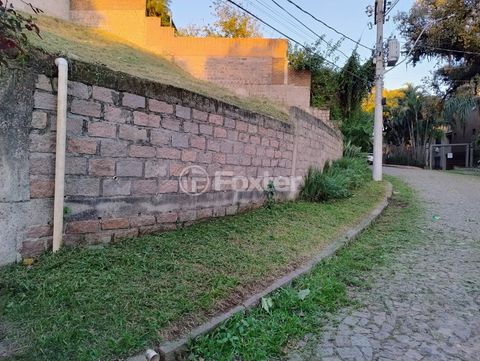 Image 9 - 926297