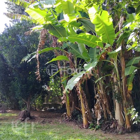 Image 7 - 926404