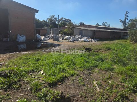 Image 3 - 926451