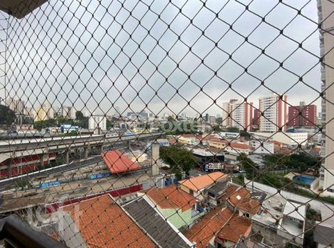 Image 12 - 926843