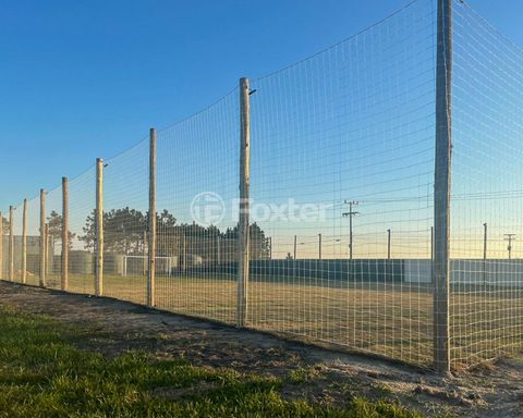 Image 8 - 926887