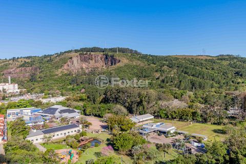Image 10 - 926888
