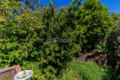 Image 9 - 927113