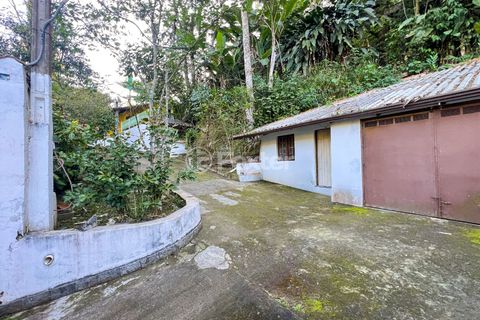 Image 2 - 927291