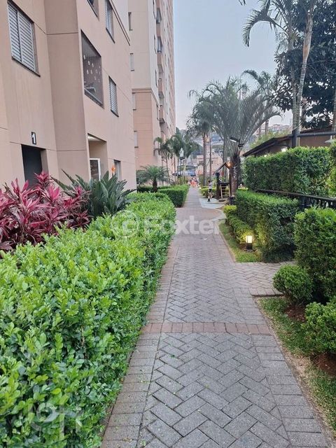 Image 9 - 927430