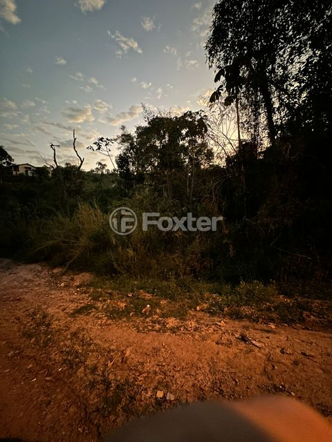 Image 4 - 928097
