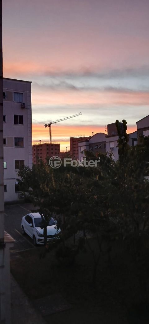Image 11 - 928455