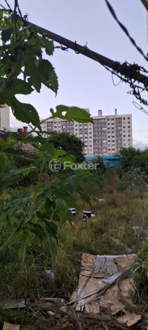 Image 2 - 928883
