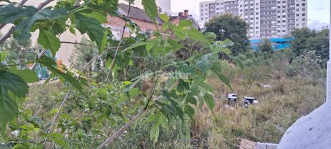Image 3 - 928883