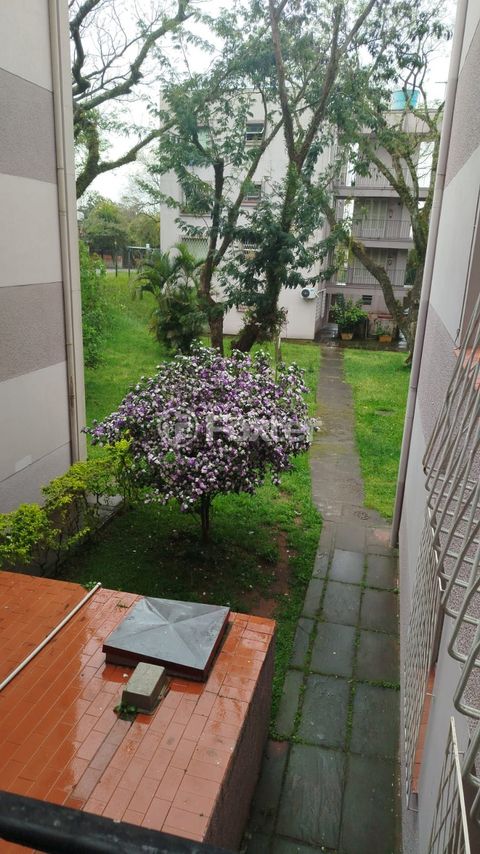Image 12 - 929251