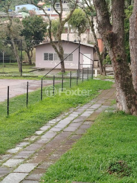 Image 17 - 929251