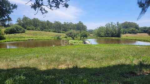Image 7 - 929444