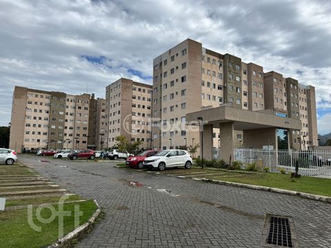 Image 8 - 929917