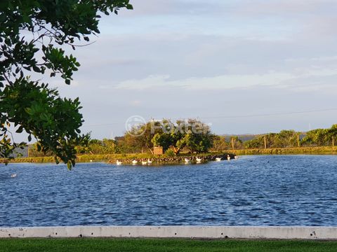 Image 11 - 930473