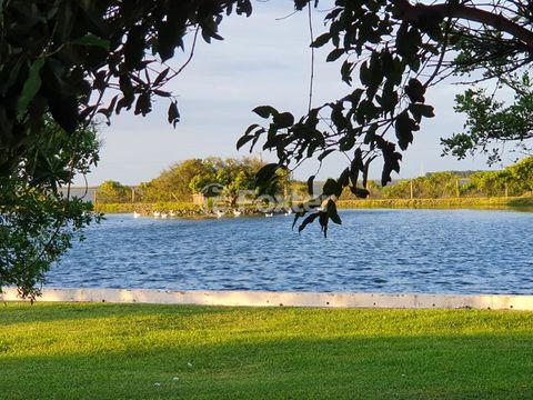 Image 10 - 930473