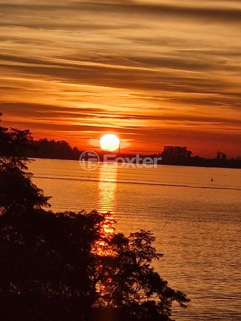 Image 0 - 930781