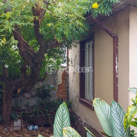 Image 2 - 931085