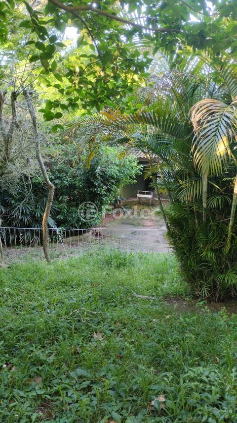 Image 15 - 931207