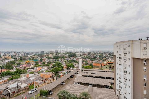 Image 19 - 932946