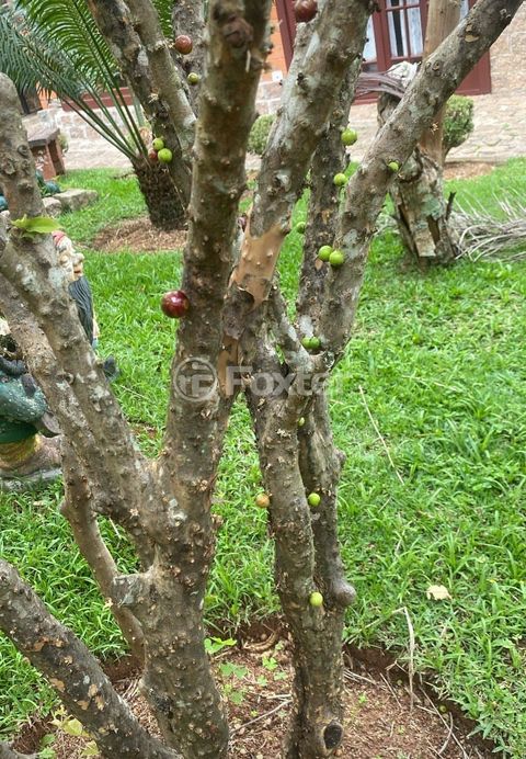 Image 12 - 933700