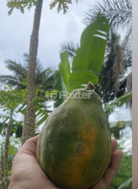 Image 14 - 933700