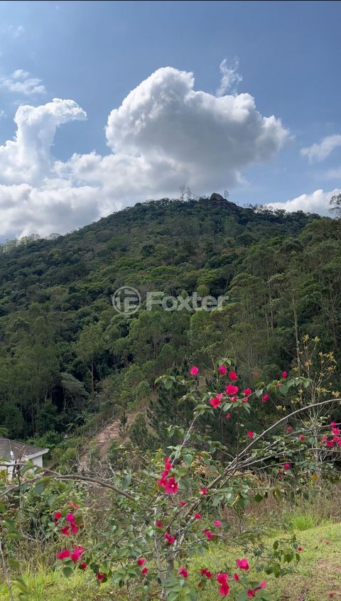 Image 8 - 934761
