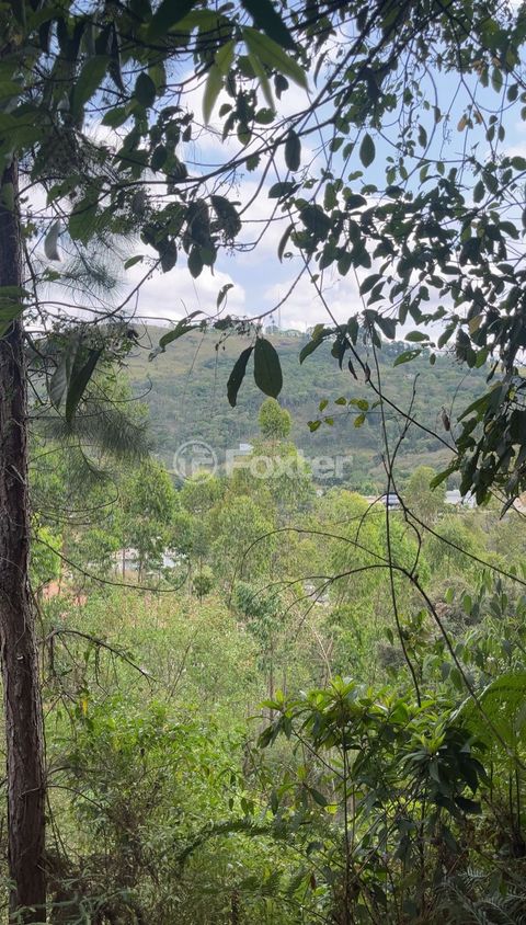 Image 7 - 934761