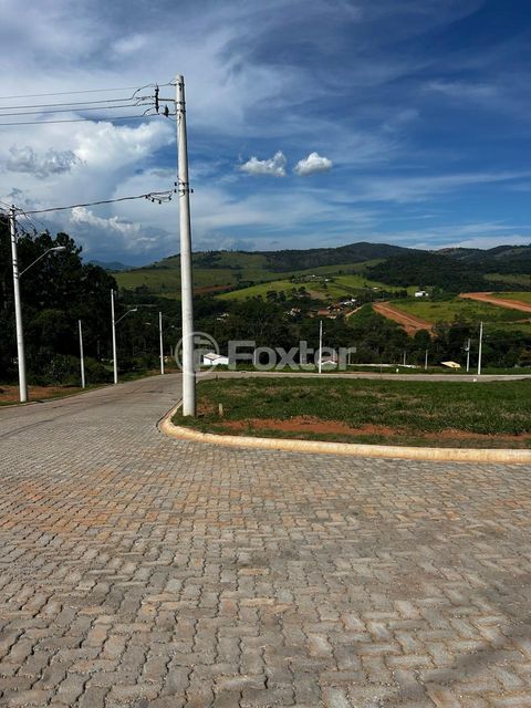 Image 4 - 935755