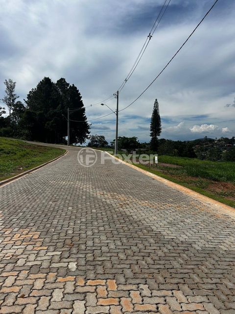 Image 5 - 935755