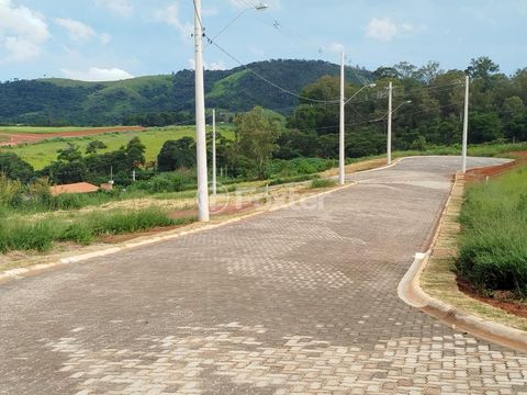 Image 7 - 935755