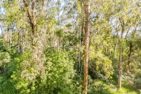Image 2 - 936018